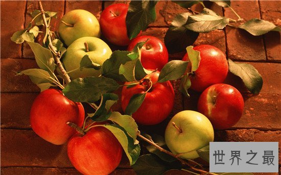 世界上最好吃的十种苹果，金星苹果竟然是世界第一！