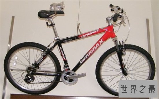 骑行运动十大品牌排行榜，骑行运动哪个牌子好？