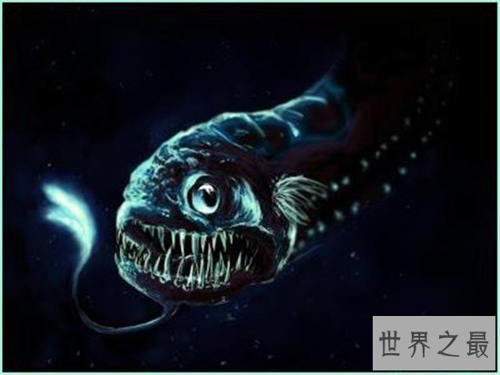 十大长相奇特的深海怪物，吸血鬼乌贼因外形得名