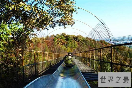 盘点让人心跳加速的十大挑战，刺激到头皮发麻！