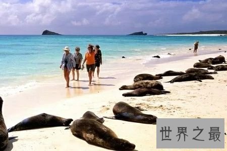 世界十大最具魅力岛屿，巴厘岛错落有致的稻田很美。