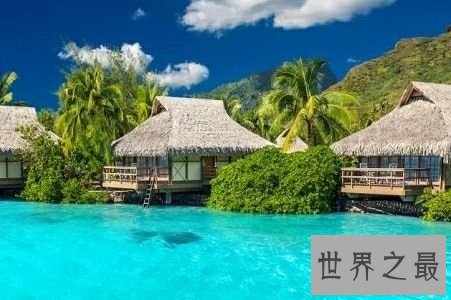 世界十大最具魅力岛屿，巴厘岛错落有致的稻田很美。