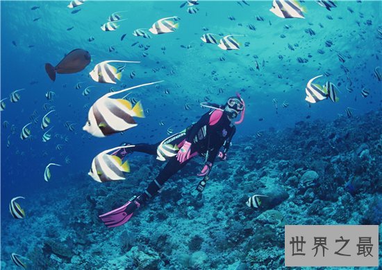 世界上最危险的十大工作，稍微一不留神就一命呜呼！