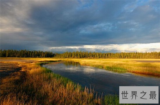 世界上最古老的十大原始森林，原始的自然保护区！