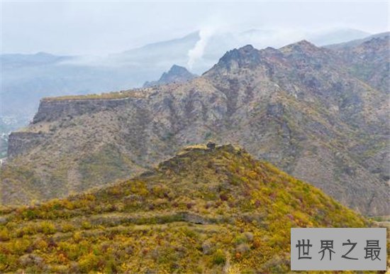 世界上最古老的十大原始森林，原始的自然保护区！