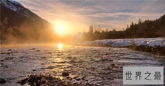 世界上最古老的十大原始森林，原始的自然保护区！