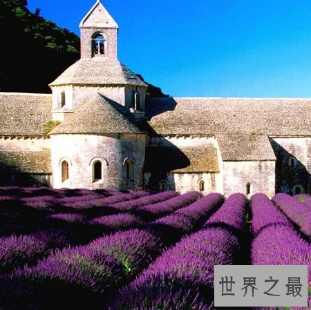 世界十大度蜜月圣地，普罗旺斯仙境收获无数爱情