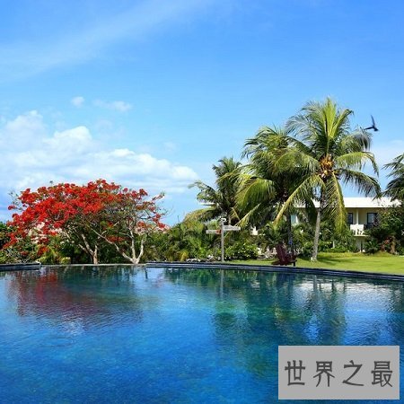 世界十大度蜜月圣地，普罗旺斯仙境收获无数爱情