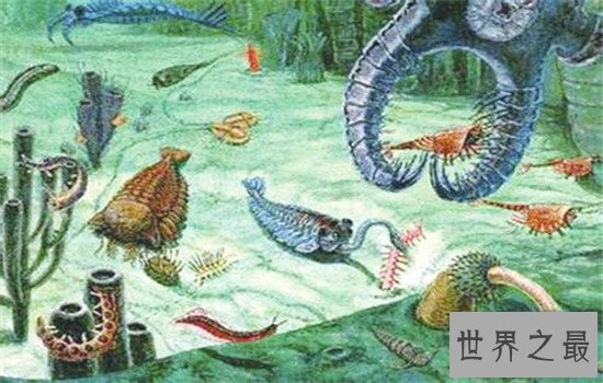奥陶纪十大恐怖生物,有些生物至今还存在于海洋中