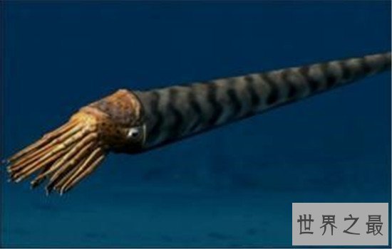 奥陶纪十大恐怖生物,有些生物至今还存在于海洋中