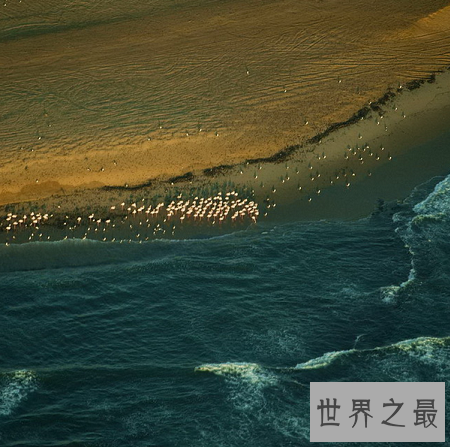 世界上最美的国家排名,挪威北极光也称不上美丽