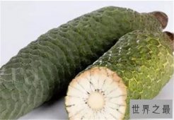 世界十大稀有水果 神仙赐给的美果你尝过什么味道吗