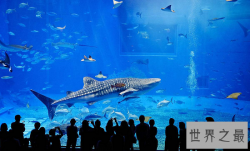 世界上8个最好玩的地方，南极洲竟只排第二