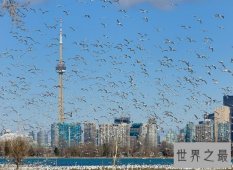 2018史上最发达国家排名，超级大国美国竟排第三！