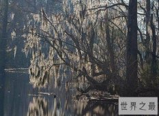 盘点十大世界上最恐怖的地方，胆小的千万不要进来！