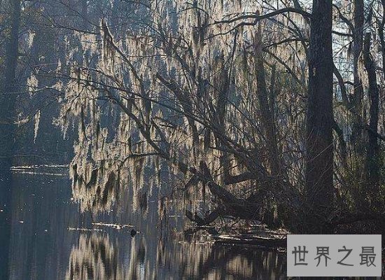 盘点十大世界上最恐怖的地方，胆小的千万不要进来！