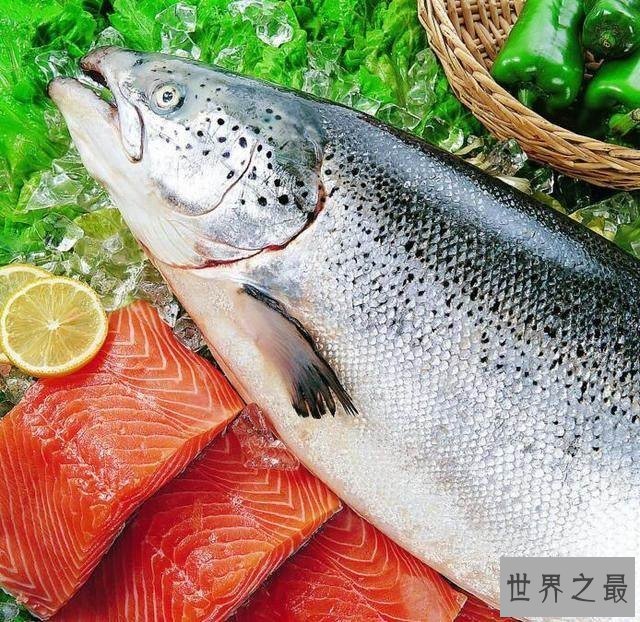 最令人惊叹的十大海鱼，冒着生命危险也要吃!