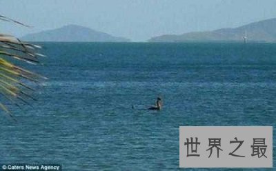 世界十大水怪 看完让人毛骨悚然