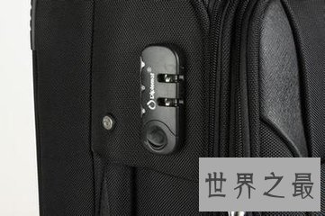 拉杆箱是人们外出必备的 世界十大拉杆箱品牌有哪些呢