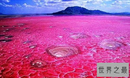 十大世界上最奇怪的湖泊，纳特龙湖是美丽的死亡陷阱