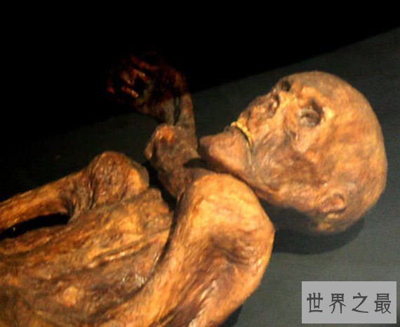 世界十大从未腐烂的尸体，胆小慎入(组图)