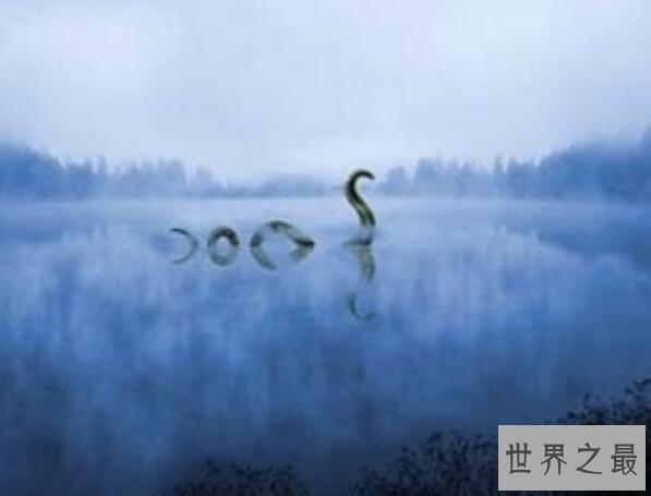 世界十大惊爆眼球的水怪图片,巨型食人鱼一口吃掉你