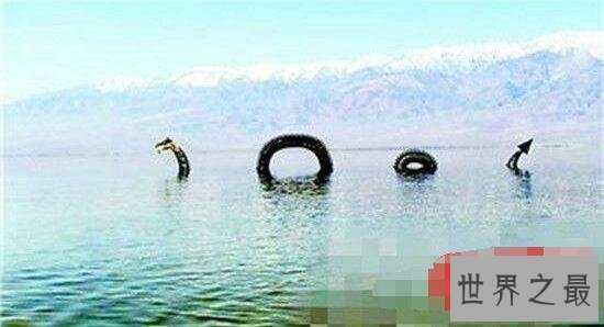 世界十大惊爆眼球的水怪图片,巨型食人鱼一口吃掉你