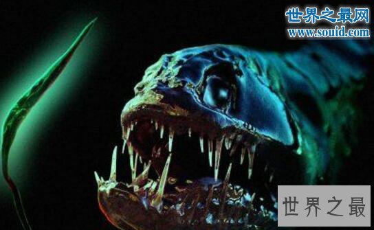 世界十大外星动物,长相奇葩生活方式与众不同
