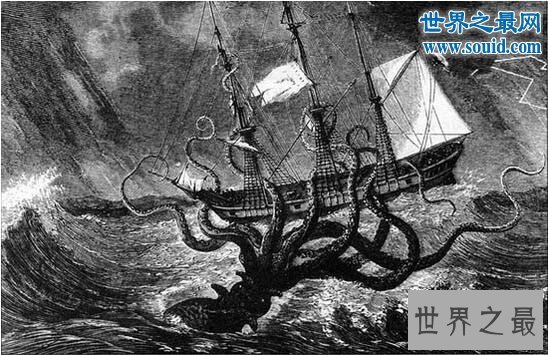 2017世界十大新物种，变异的大王乌贼成海中霸主