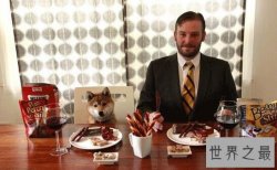 世界十大最特殊职业，猫狗粮品尝师年薪47万元