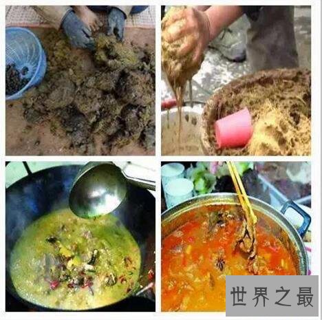 世界十大最恶心的美食，牛粪火锅谁能下的了口(中国的)