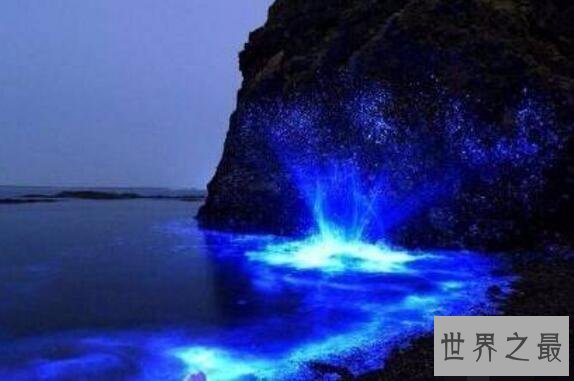 世界十大荧光海滩，中国占据5位(大连荧光海滩最美)