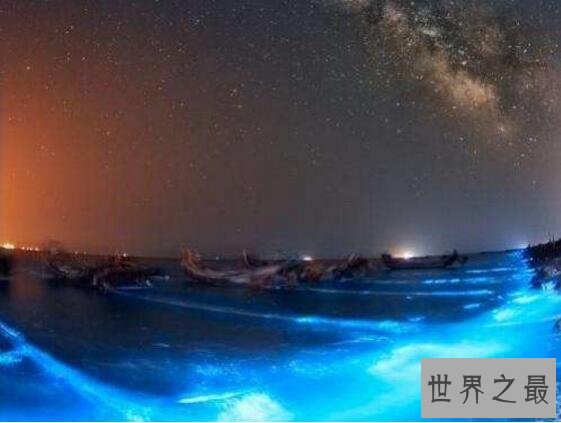 世界十大荧光海滩，中国占据5位(大连荧光海滩最美)