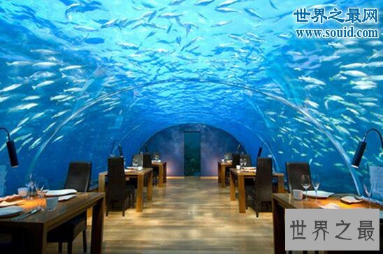 世界五大最有创意的餐厅，全玻璃的海底餐厅