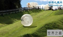 世界十大最疯狂的运动，在火车顶上随意漫游