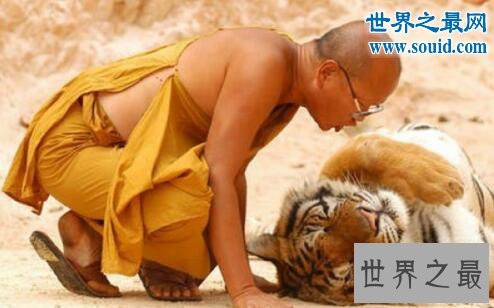 世界十大人兽同居事件，动物学家和狮子一起游泳