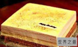 世界十大著名蛋糕，世界闻名的法国慕斯蛋糕