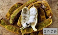 世界十大黑暗水果，木苹果让人的呕吐酸腐气息