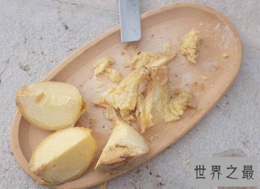 全球十大最奇葩又昂贵的物品，鲸鱼的呕吐物