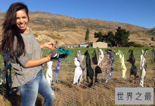 世界十大奇葩景点，挂满胸罩的新西兰栅栏