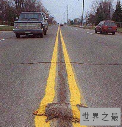 世界上十大最糟糕的工作,下水道清洁工最恶心