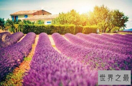 国外十大最浪漫情侣旅游地，情人节好去处