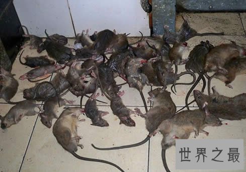 世界十大最毒的毒药物质，氰化物半公斤杀光全人类