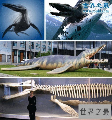地球上的远古十大怪兽，比恐龙可怕一万倍