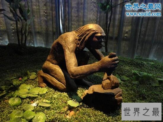 世界四大文明古国是哪四国，中国/巴比伦/埃及/印度