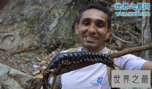 世界十大巨型怪物，巨型蜈蚣(可咬破蛇腹)