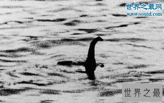 世界十大水怪,长32颗巨齿的水鬼(生吞鳄鱼)