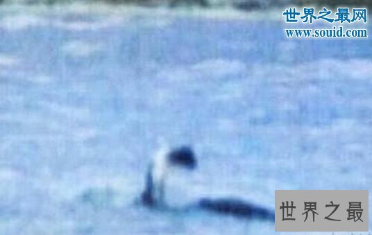 世界十大水怪,长32颗巨齿的水鬼(生吞鳄鱼)