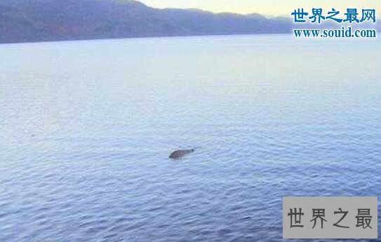 世界十大水怪,长32颗巨齿的水鬼(生吞鳄鱼)