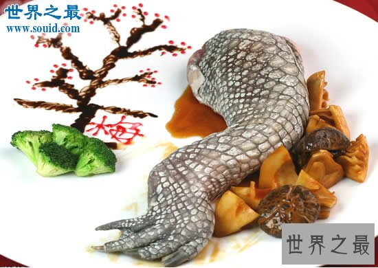 全球十大恶心食品,看到这些食物吐都来不及